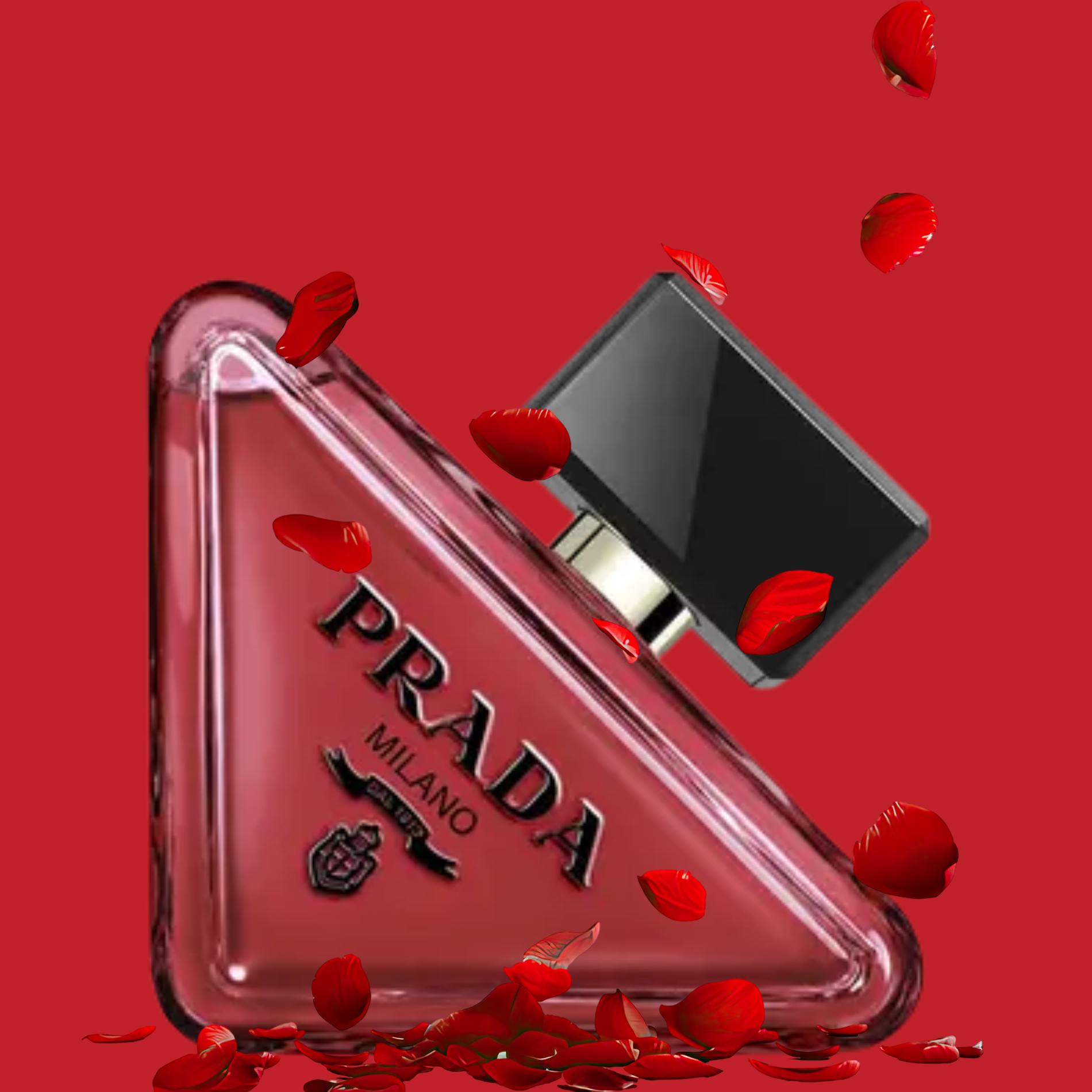 Prada - Paradoxe Radical